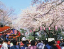 太田山公園（恋の森）