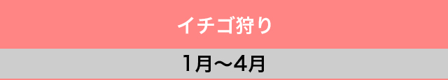 レジャー・イベント年間カレンダー